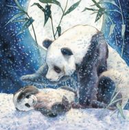 Panda by Cliff Wright